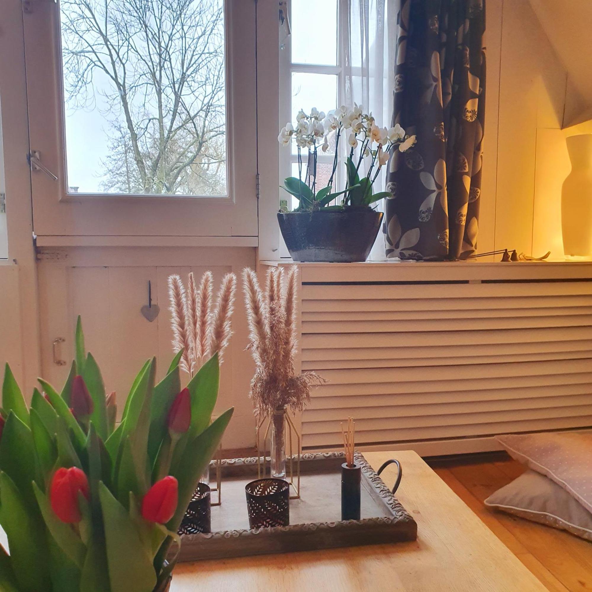 Bed & Bike De Rijp B&B 외부 사진